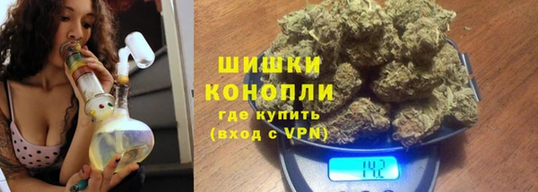 бошки Бронницы